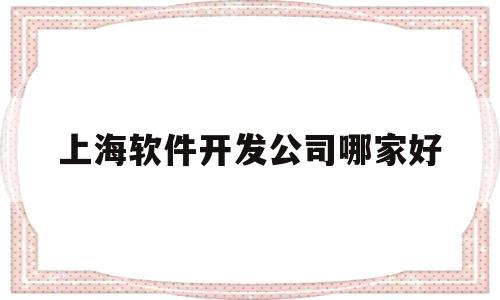 上海软件开发公司哪家好(上海软件开发有限公司)