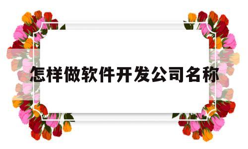 怎样做软件开发公司名称(开发软件名字怎么取)