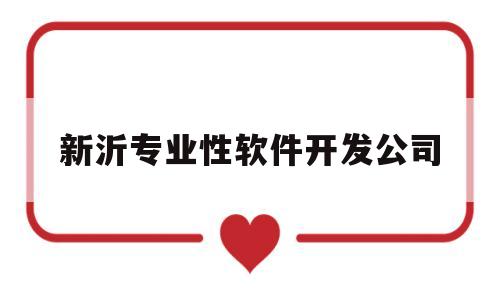 新沂专业性软件开发公司(新沂有哪些公司)