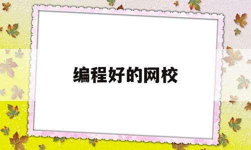 编程好的网校(网校编程课学校排名?)