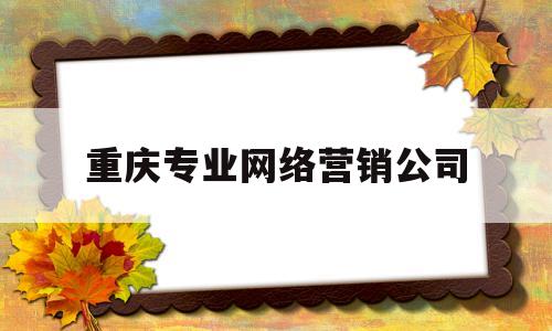 重庆专业网络营销公司(重庆网络营销讲师招聘)