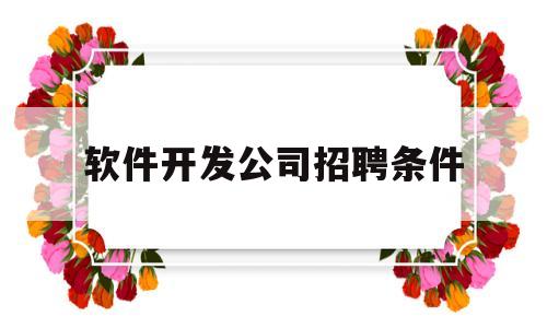 软件开发公司招聘条件(软件开发公司招聘条件有哪些)