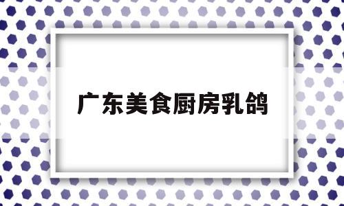 广东美食厨房乳鸽(广东菜乳鸽的做法大全)