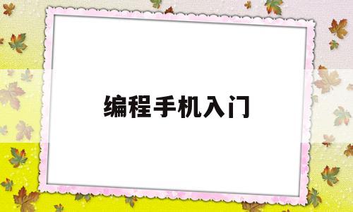 编程手机入门(手机编程教学)