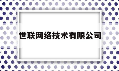 世联网络技术有限公司(世联网络技术有限公司官网)