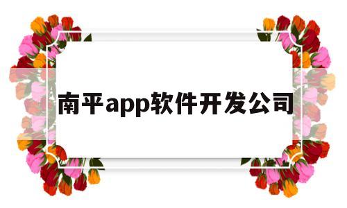 南平app软件开发公司(南平市app软件开发)