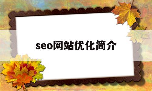 seo网站优化简介(seo网站优化方法)