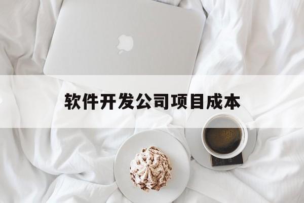 软件开发公司项目成本(软件开发项目成本估算表)