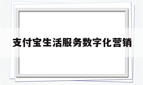 支付宝生活服务数字化营销(支付宝生活服务数字化营销案例)