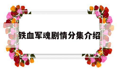 铁血军魂剧情分集介绍(铁血军魂40集免费观看)