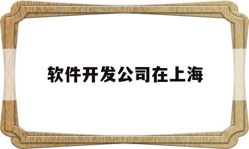 软件开发公司在上海(上海软件开发的公司排名)