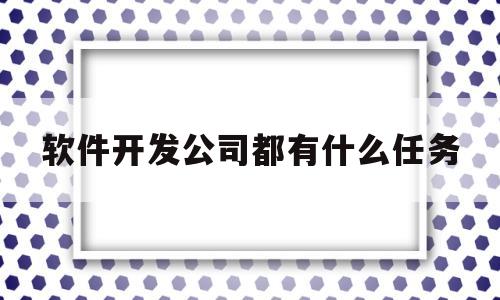 软件开发公司都有什么任务(软件开发公司业务有哪些)