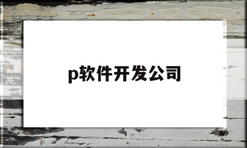 p软件开发公司(开发软件的公司叫什么)