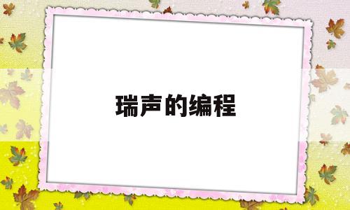 瑞声的编程(瑞声达无线编程器)