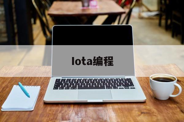 Iota编程(iota go语言)