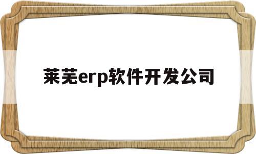 莱芜erp软件开发公司(莱芜erp软件开发公司怎么样)