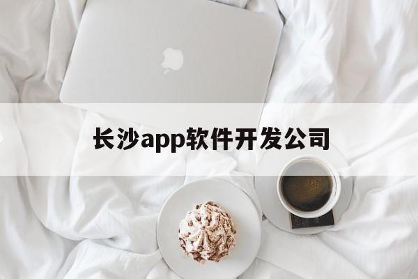 长沙app软件开发公司(长沙app开发公司哪家好)