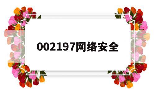 002197网络安全(2020年网络安全龙头股)