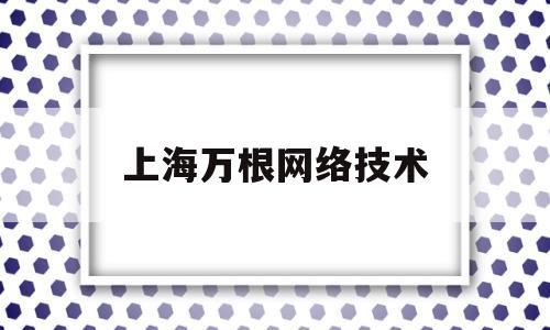 上海万根网络技术(上海万根网络是做什么的)