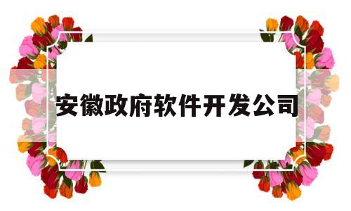 安徽政府软件开发公司(安徽政府软件开发公司招聘)