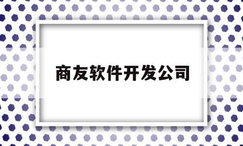 商友软件开发公司(商友软件集团)