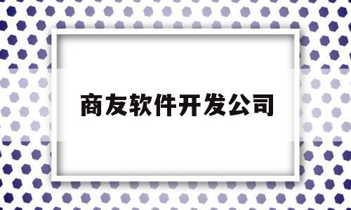 商友软件开发公司(商友软件集团)