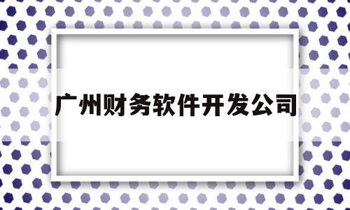 广州财务软件开发公司(广州 财务)