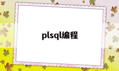 plsql编程(plsql编程框在哪)