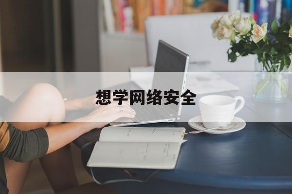 想学网络安全(想学网络安全可以学网络工程吗)