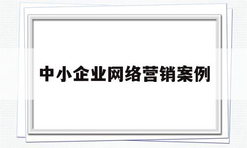 中小企业网络营销案例(中小企业网络营销案例分享)