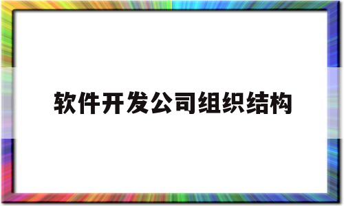 软件开发公司组织结构(软件开发公司组织架构及部门职责)