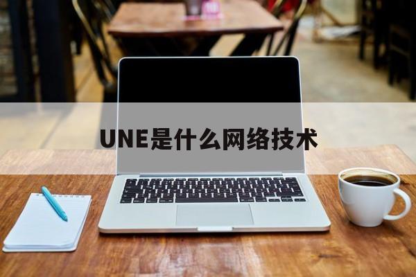 UNE是什么网络技术(unet网络介绍)