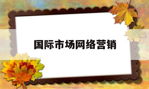 国际市场网络营销(国际市场网络营销实施的过程包括哪些环节 论述题)