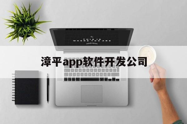 漳平app软件开发公司(漳州开发软件安全检测)