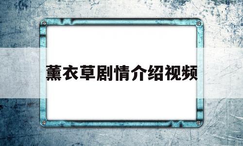 薰衣草剧情介绍视频(薰衣草分集剧情)