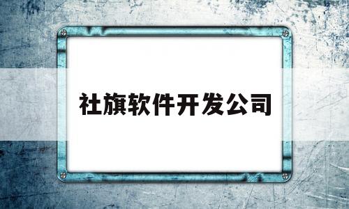 社旗软件开发公司(社旗软件开发公司有哪些)