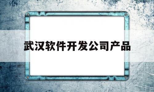 武汉软件开发公司产品(武汉 软件公司)