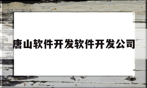 唐山软件开发软件开发公司(唐山app开发公司)