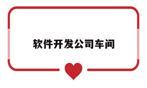 软件开发公司车间(软件开发公司做什么)