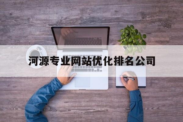 河源专业网站优化排名公司(河源市网络科技有限公司)