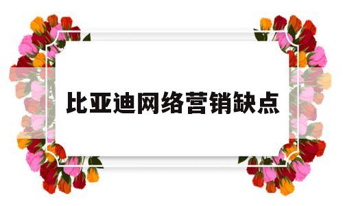 比亚迪网络营销缺点(比亚迪网络营销缺点有哪些)