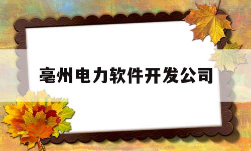 亳州电力软件开发公司(安徽省电力公司亳州供电公司)