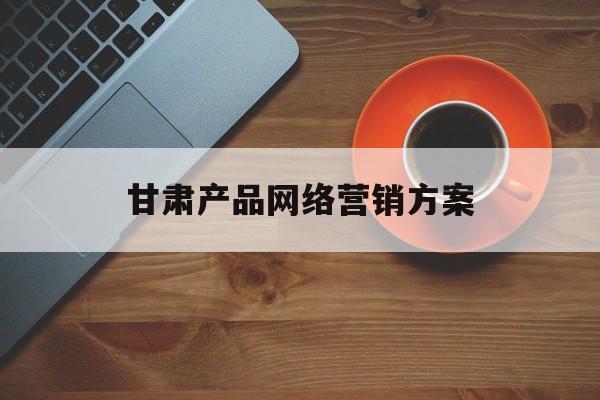 甘肃产品网络营销方案(网络产品营销案例)