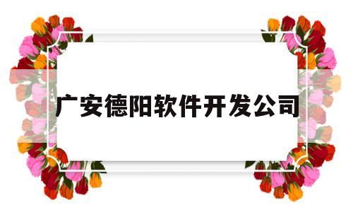 广安德阳软件开发公司(德阳软装公司)