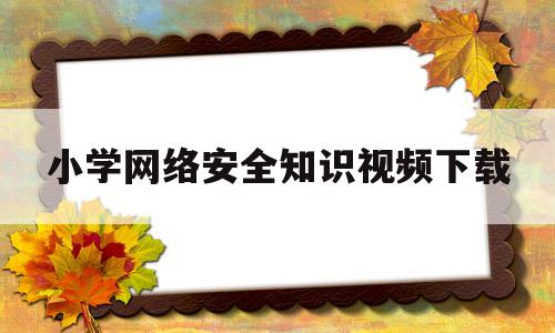 小学网络安全知识视频下载(中小学生网络安全知识视频)