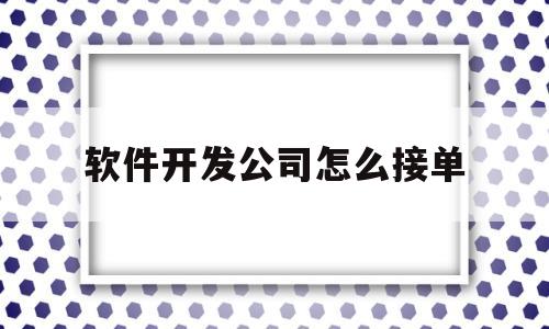 软件开发公司怎么接单(软件开发公司怎么接单赚钱)