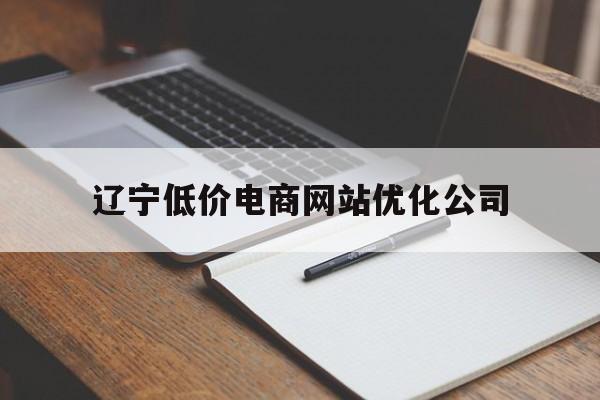 辽宁低价电商网站优化公司(辽宁低价电商网站优化公司有哪些)