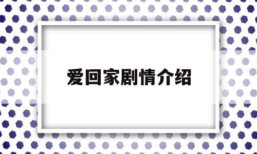 爱回家剧情介绍(爱回家电视剧演员)