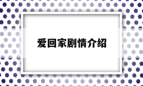 爱回家剧情介绍(爱回家电视剧演员)