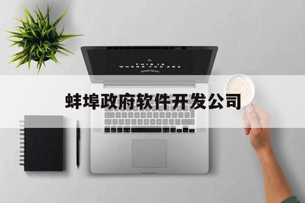 蚌埠政府软件开发公司(蚌埠软件产品登记测试报告电话)